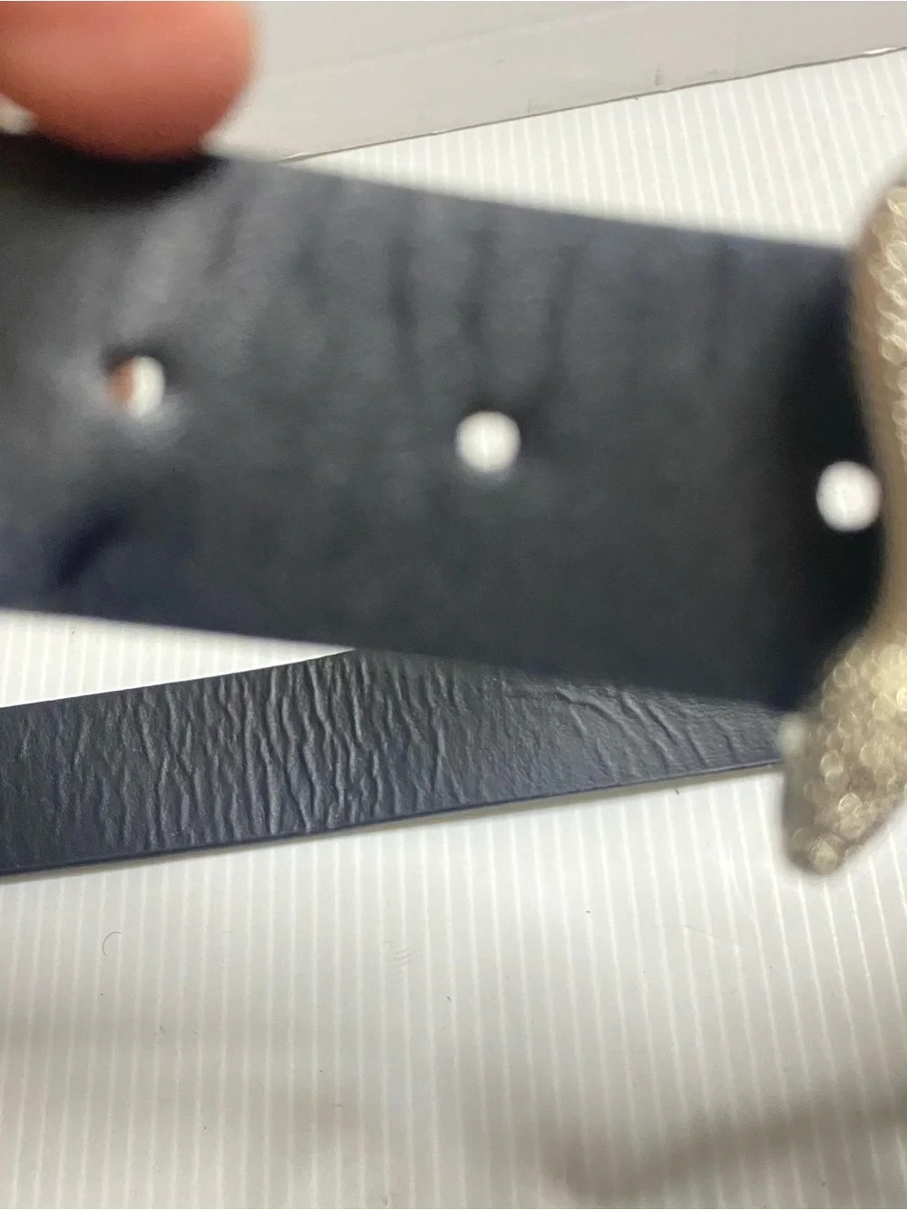 Silver Snake Buckle Black Reptile Belt distressed